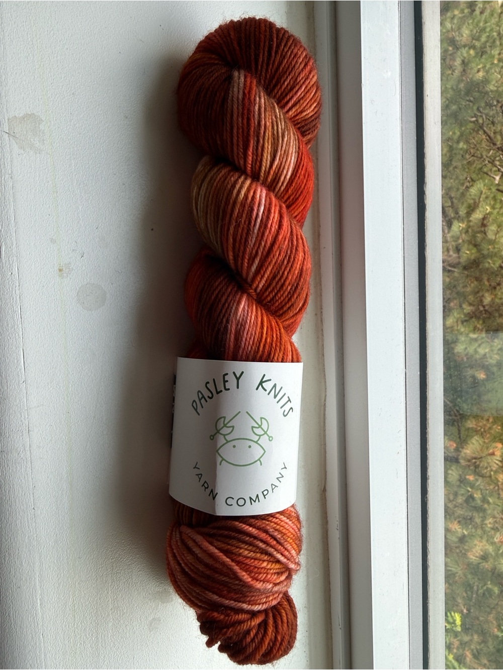 Hand-Dyed Yarn - Rust Orange Skein